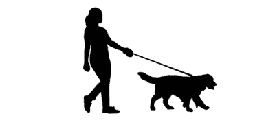 walking dog